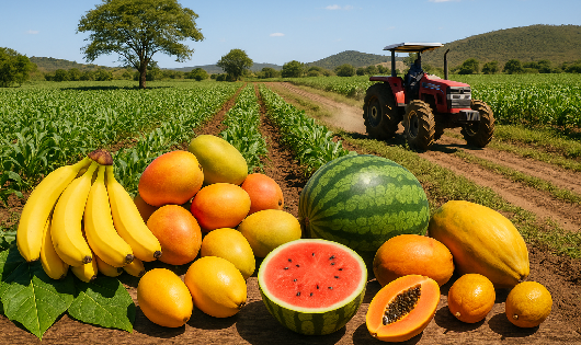 Vereador Luan do Povo destaca a produção agrícola e homenageia produtores rurais de Carinhanha