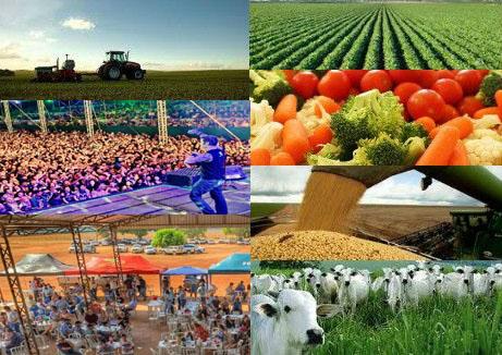 Proposta para instituir a Festa da Fruta no distrito do Angico